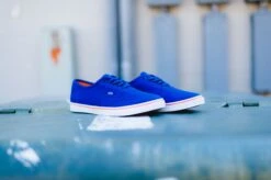 WMNS Vans Authentic Lo Pro (Blueprint/Camellia)