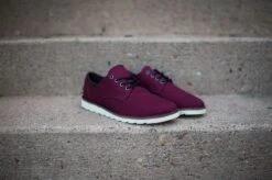 Vans Desert Point (Port Royale)